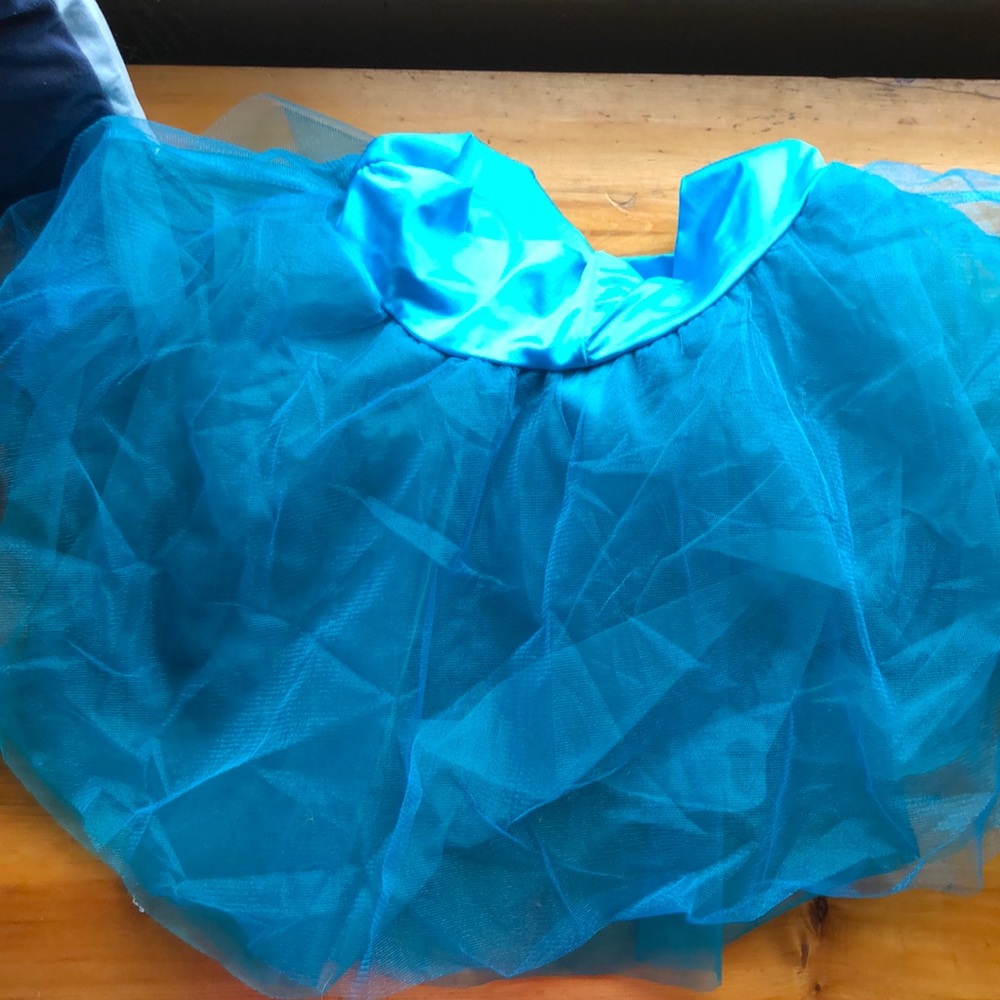 Costume Gallery teal tutu Adult extra large